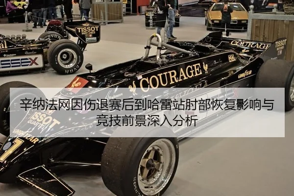 辛纳法网因伤退赛后到哈雷站肘部恢复影响与竞技前景深入分析