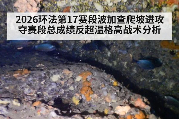 2026环法第17赛段波加查爬坡进攻夺赛段总成绩反超温格高战术分析
